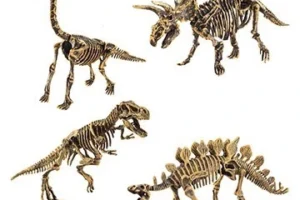 Paleo Puzzlers