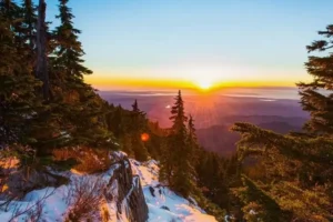 Sunset in the Snowy Forest Jigsaw Puzzle 1000 pieces